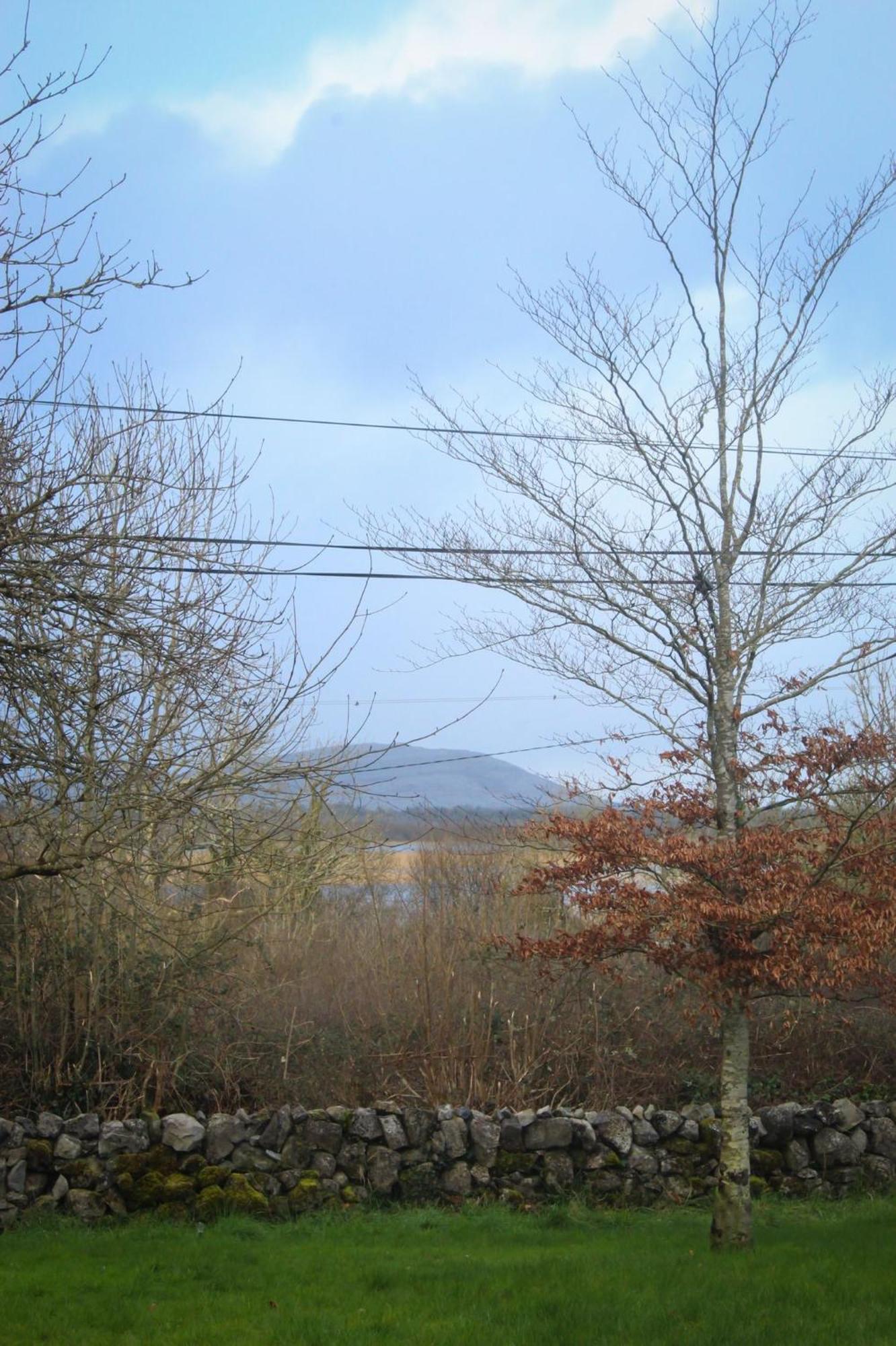 Riverside Cottage In The Burren Corofin  Exterior foto